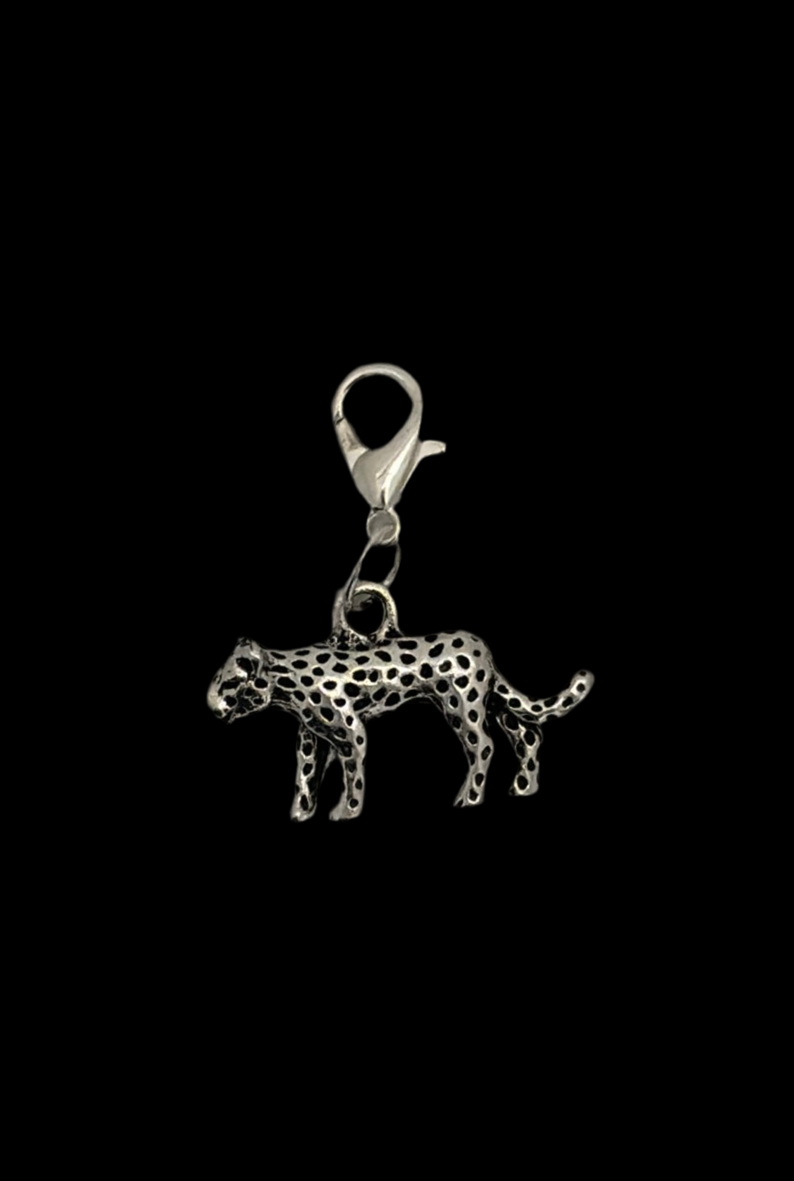 Charms plateados