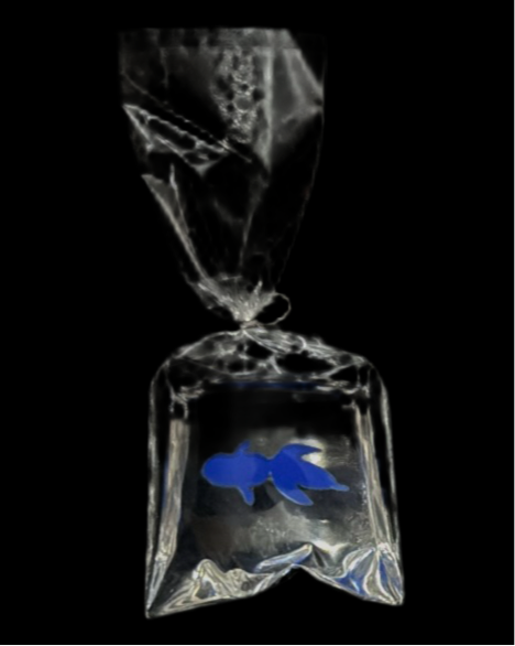 Charms peces.